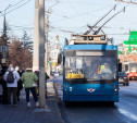 Тулячка: «Троллейбусы хотят убрать из города. Непонятно, сколько им осталось жить»