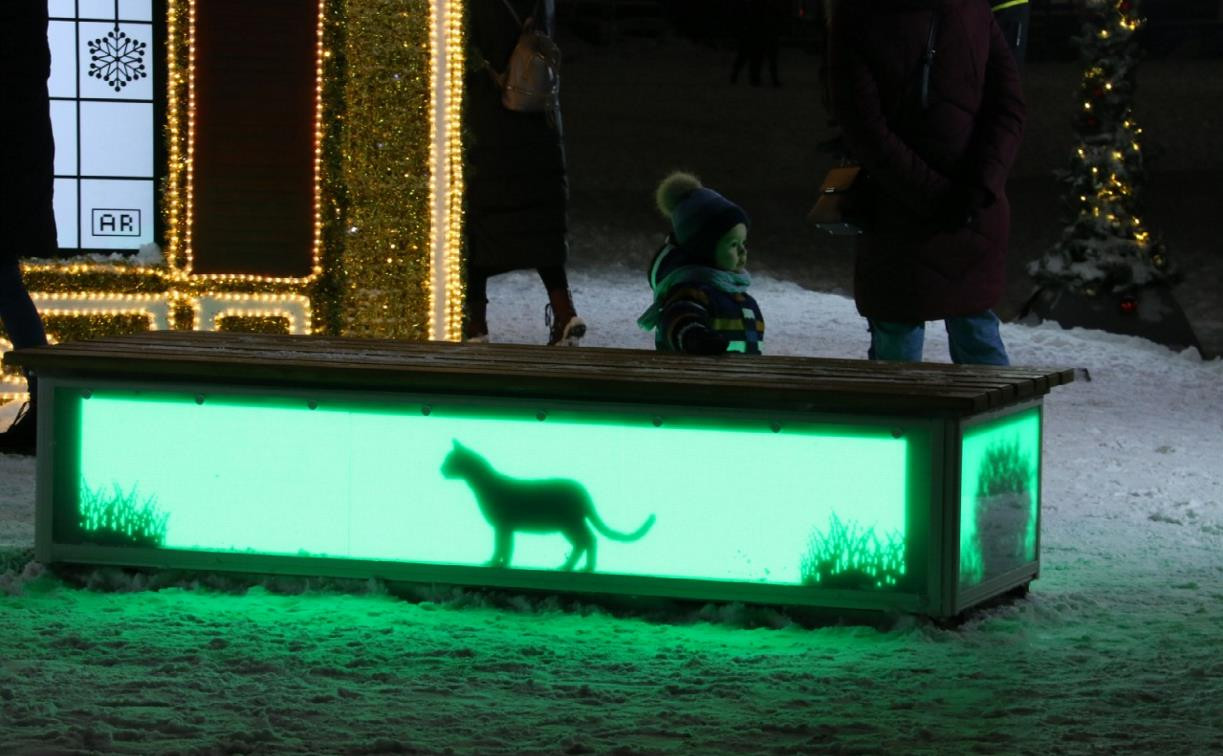На площади Ленина появилась лавка с виртуальной кошкой