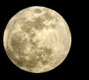 23 июня Луна станет больше и ярче 