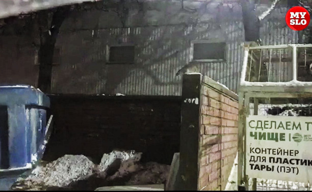 Видео: В Туле крысы штурмуют мусорный контейнер