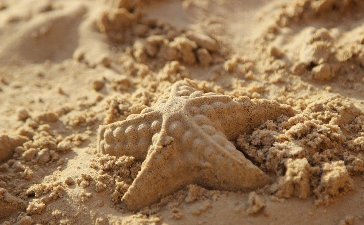 Тульская администрация объяснила закупку песка для детских площадок осенью