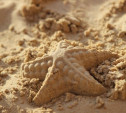 Тульская администрация объяснила закупку песка для детских площадок осенью