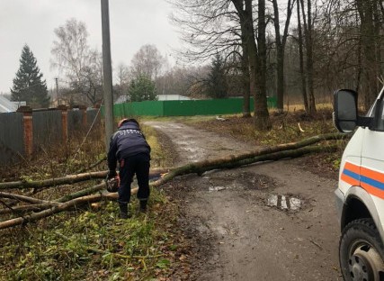 Администрация Тулы: штормовой ветер повалил 18 деревьев