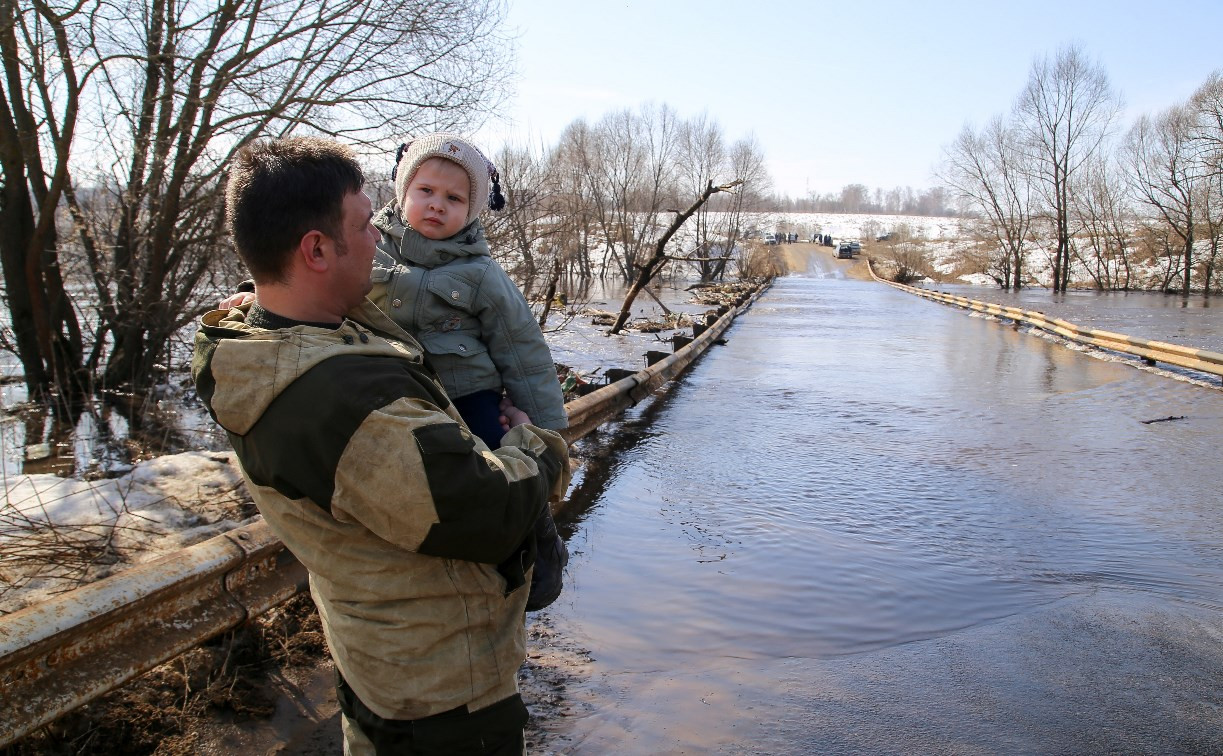 Фоторепортаж: В Щекинском районе Упа затопила мост