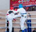 В Щекинском районе прошёл турнир по смешанным единоборствам