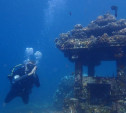Туляк обнаружил подводные действующие храмы в Индонезии 