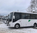 На льготных маршрутах региона начнет курсировать транспорт нового перевозчика 