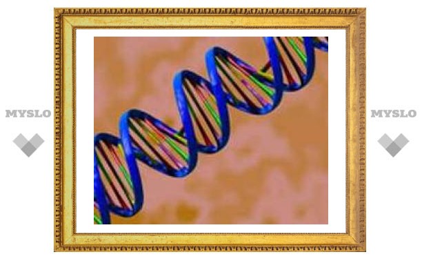 Обнаружена "телепатическая связь" между молекулами ДНК