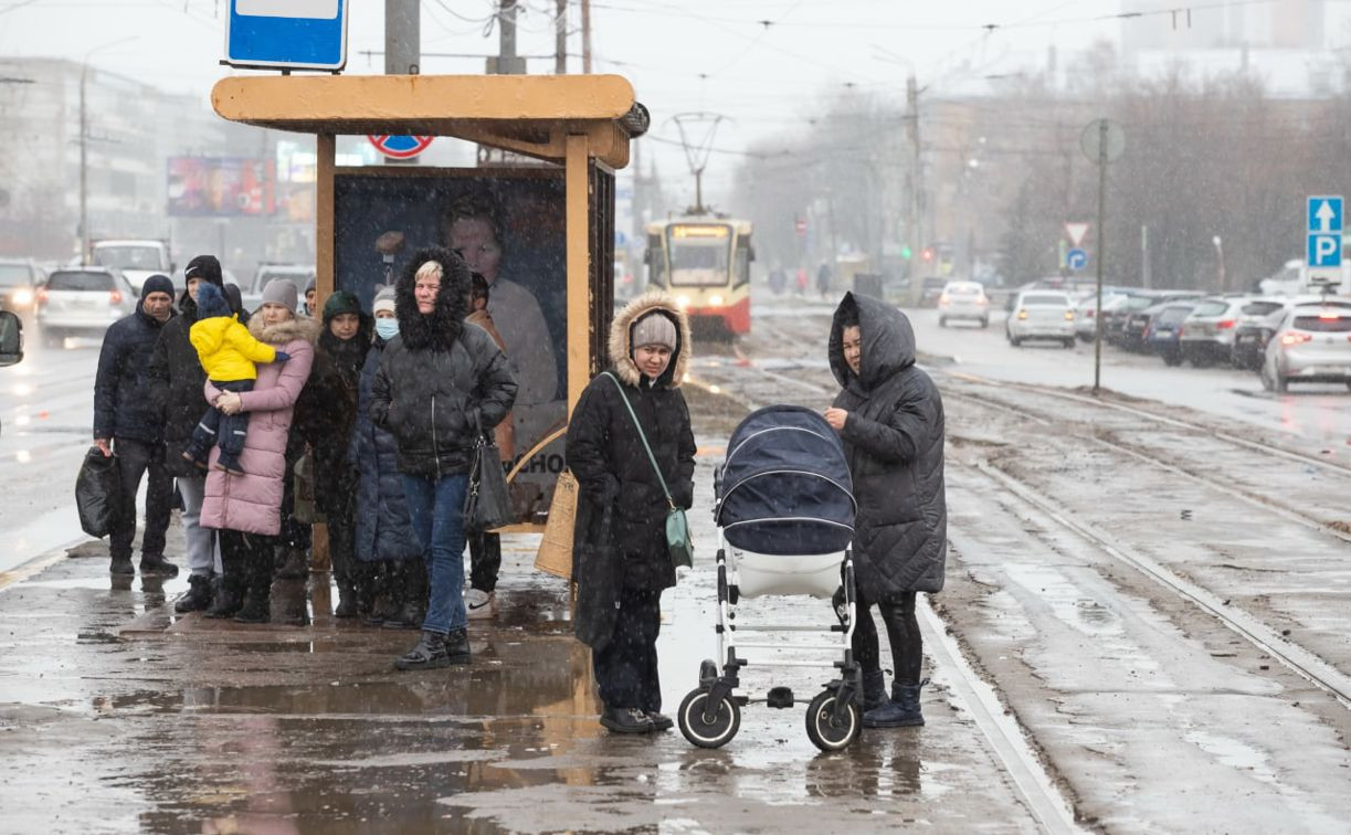 Погода в Туле 22 декабря: мокрый снег и до трёх градусов тепла