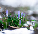 Весна в России начнется с похолодания и морозов