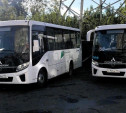 К ноябрю тульский парк общественного транспорта пополнят 85 новых автобусов