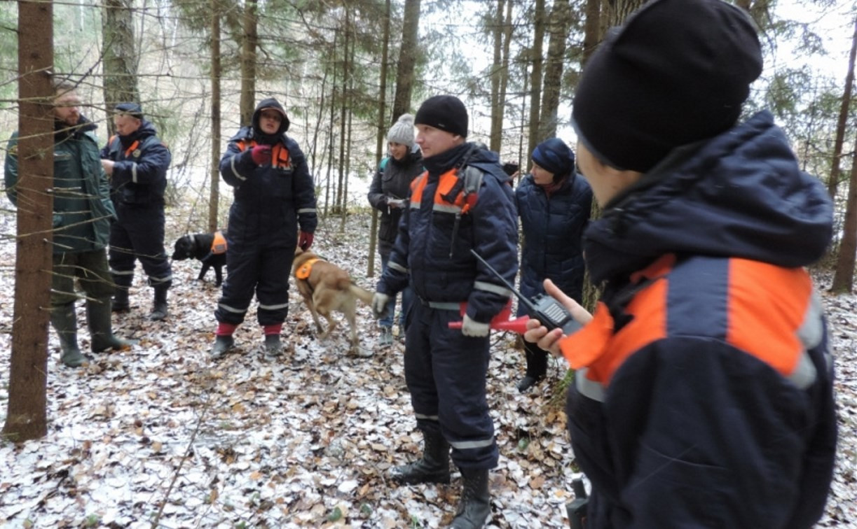 В Суворове нашли двух потерявшихся в лесу подростков