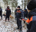 В Суворове нашли двух потерявшихся в лесу подростков