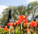 Тула расцвела: фоторепортаж Myslo с цветочным настроением