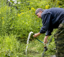 Жители поселка в Щекинском районе третью неделю живут без воды