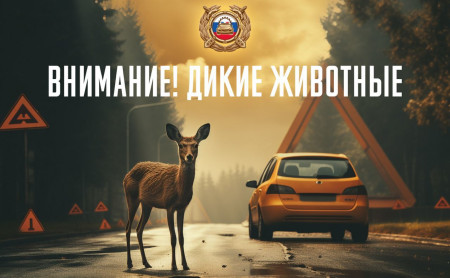 Жизнь Тулы и области