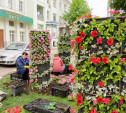 На улице Октябрьской в Туле появились колонны из цветов 