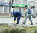 Нарушитель не успел в срок восстановить газон на ул. Первомайской