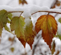 Погода в Туле 25 ноября: морозно, сухо, умеренный ветер