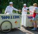 В Новомосковске мужчина украл тележку с мороженым