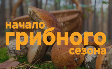 Жизнь Тулы и области