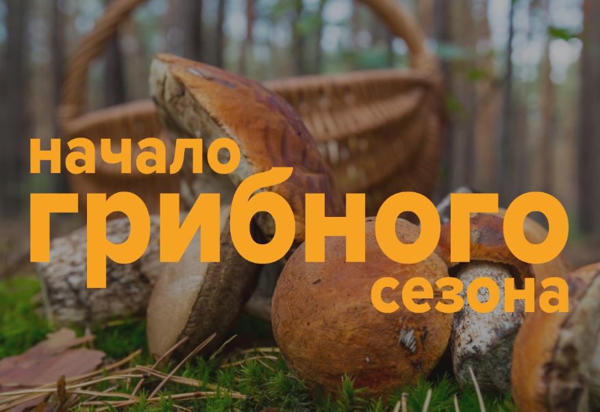 Волонтёры рассказали тулякам, как не потеряться на «тихой охоте»