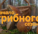Волонтёры рассказали тулякам, как не потеряться на «тихой охоте»