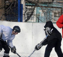 Туляки смогут бесплатно поиграть в хоккей в Кировском сквере