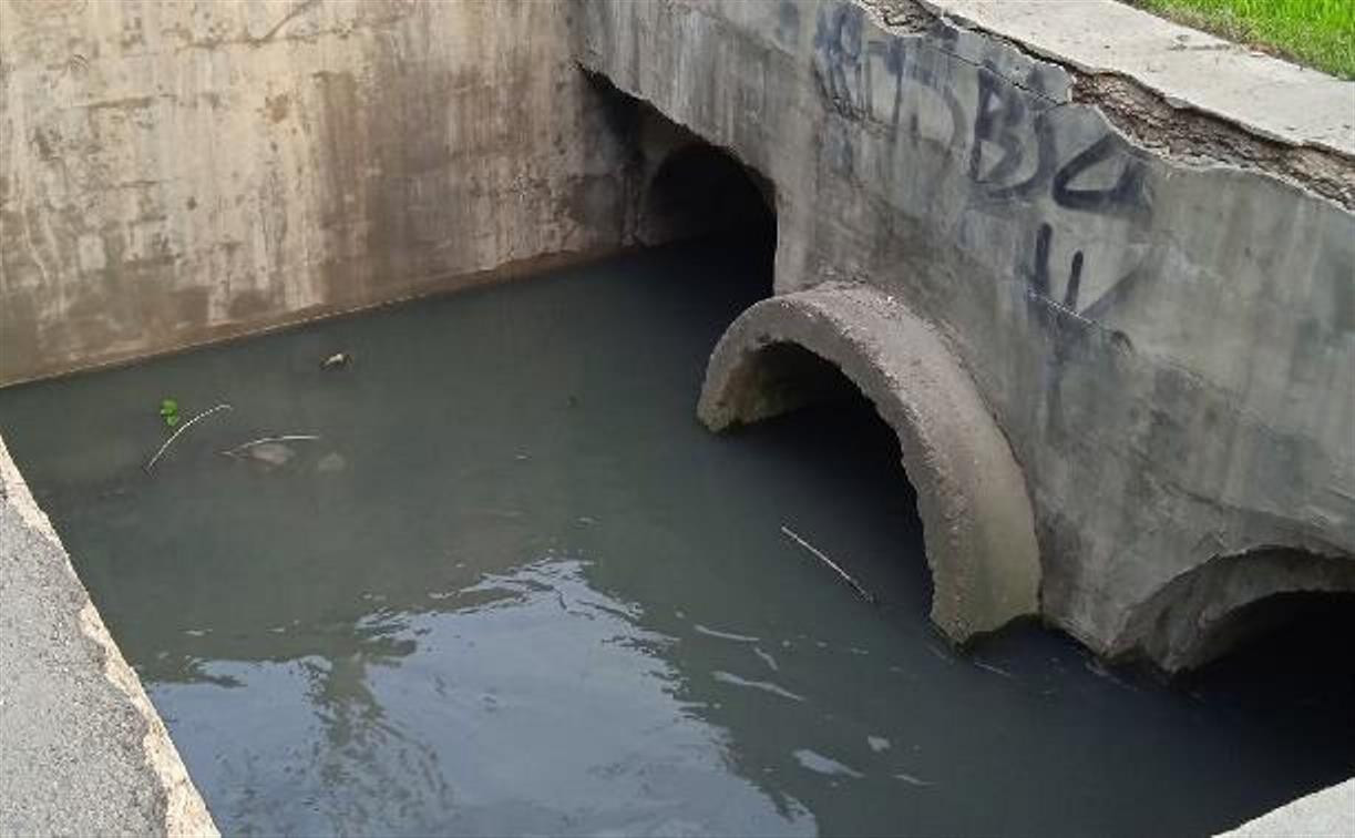 Администрация Тулы обнаружила источник загрязнения Щегловского ручья