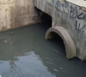 Администрация Тулы обнаружила источник загрязнения Щегловского ручья