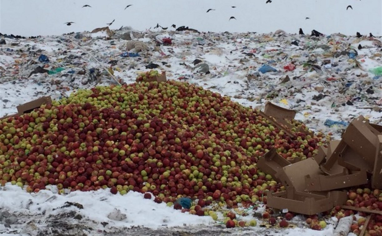 В Туле уничтожили 21 тонну польских яблок 