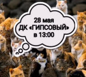 В Новомосковске пройдёт выставка кошек