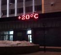 17 февраля в Туле была «зафиксирована» температура +20