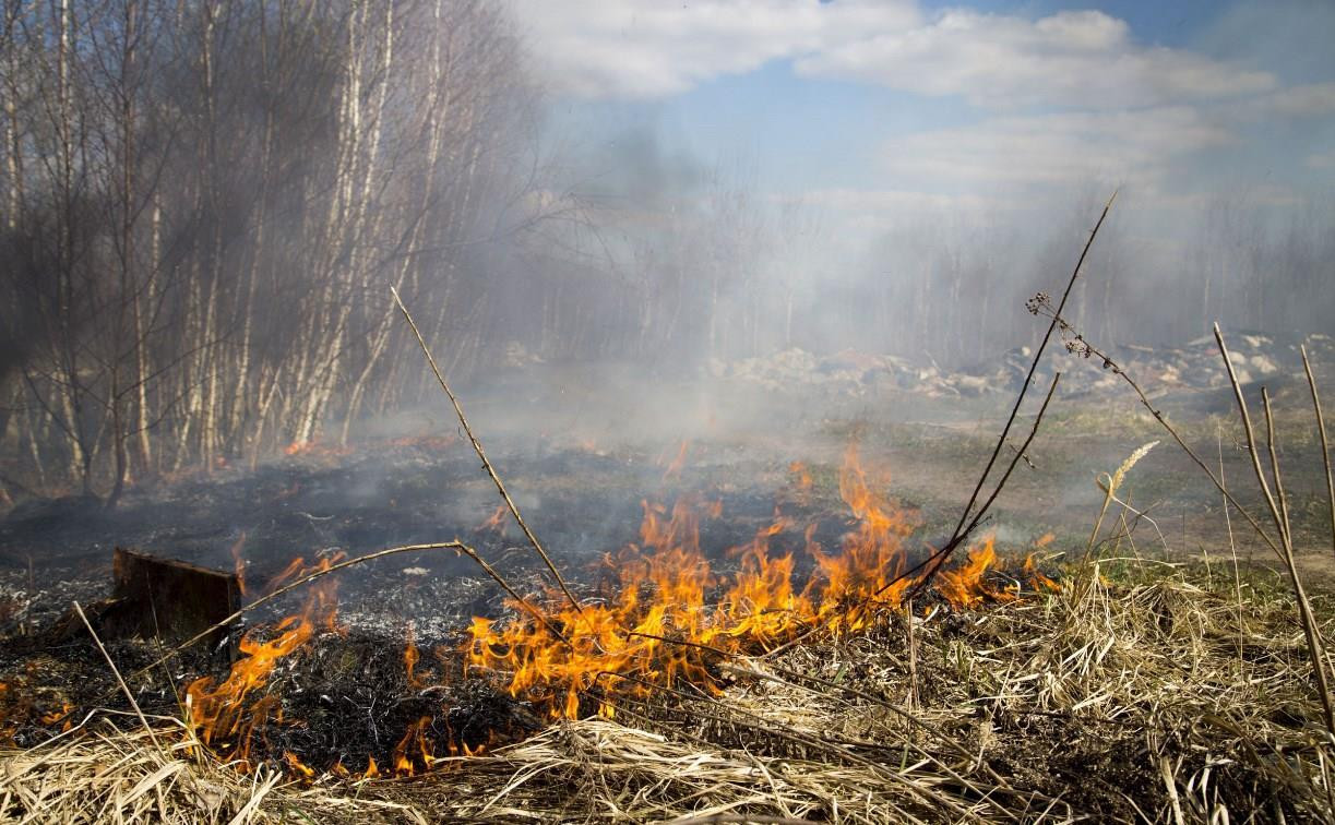 В одном из районов Тульской области объявлена чрезвычайная степень пожарной опасности