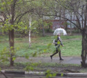 Центральную Россию ждет дождливая и теплая неделя
