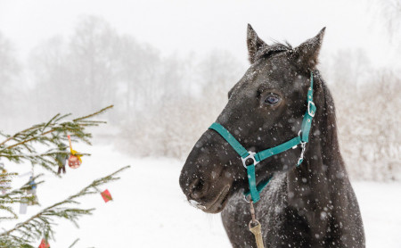Жизнь Тулы и области