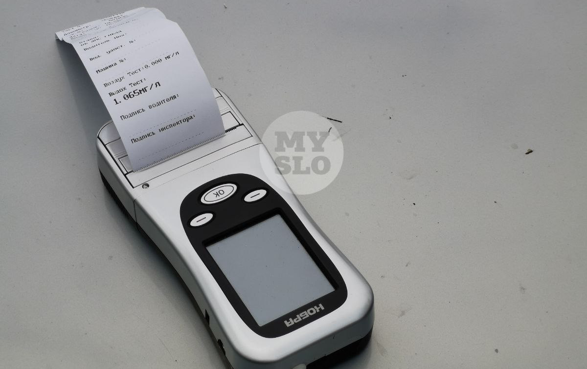 За три дня на дорогах Тульской области гаишники задержали 36 пьяных водителей