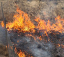 В Тульской области объявлена высокая степень пожароопасности