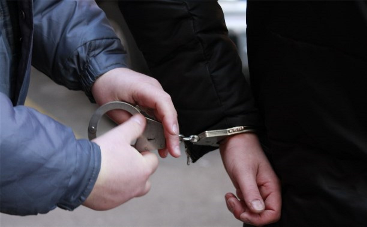 В Богородицком районе задержаны два грабителя 