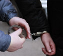 В Богородицком районе задержаны два грабителя 