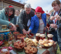 В Епифани прошел вишневый фестиваль «Сад-Палисад»
