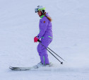 Туляков приглашают на соревнования по горнолыжному спорту Nekrasovo Fest