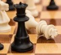 20 июля в Туле пройдет шахматный турнир