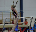 В Туле проверили ближайший резерв российской гимнастики