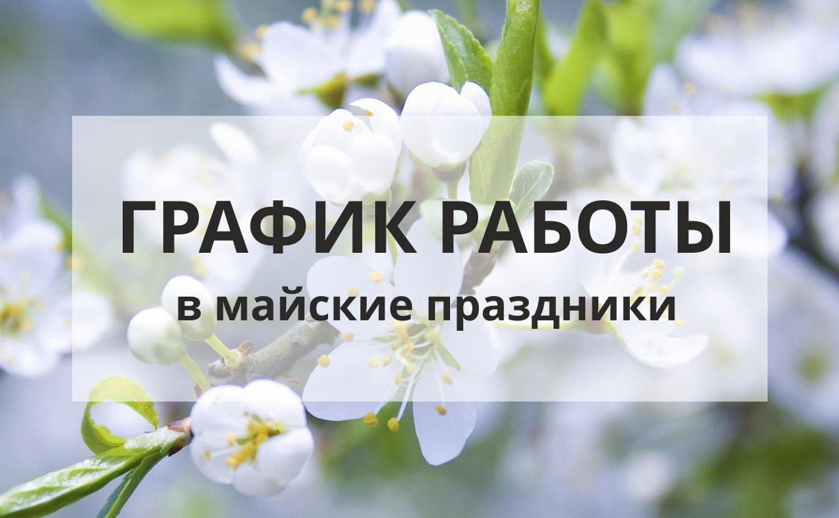 Минтруд РФ разъяснил всё про оплату нерабочих дней с 4 по 7 мая