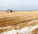 В Тульской области погибший урожай был частично застрахован