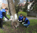 Алексей Эрк и депутаты приняли участие в субботнике
