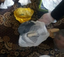 Тульские полицейские задержали 20-летнюю торговку наркотиками