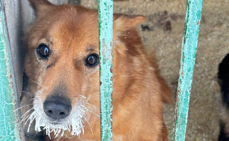 Жизнь Тулы и области