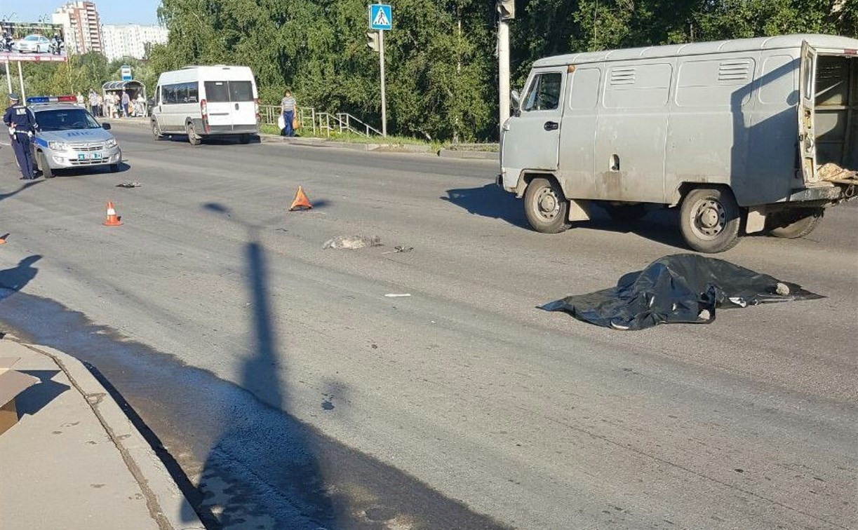 В Туле на улице Рязанской насмерть сбили пенсионерку с собачкой 